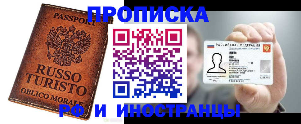 прописка поиск в Камышине